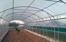 Greenhouses - Price List